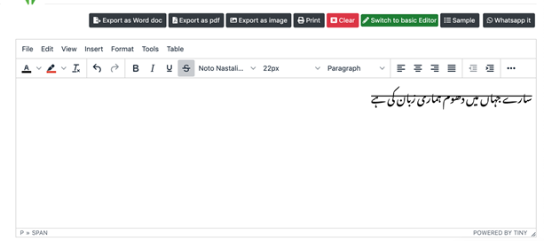 How to make Urdu text italic